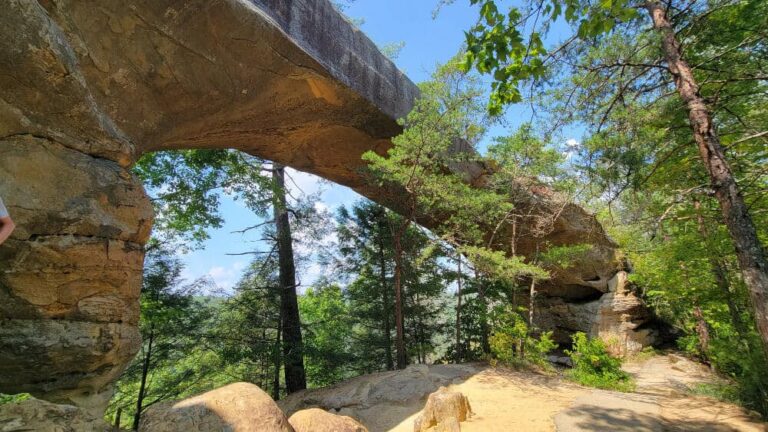 View below a natural stone arch with trees in the background