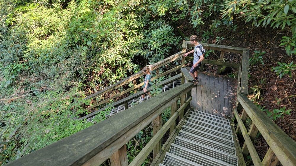 two kids walk down steps in a forest
