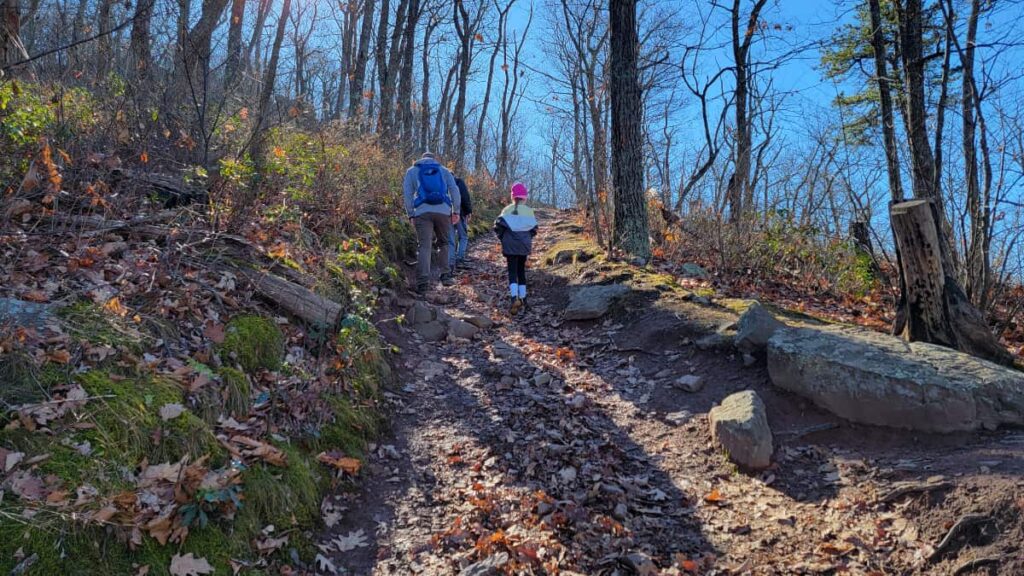 Man and young girl hike up a steep hill with rocks in the path and leafless trees flanking the sides of the trail