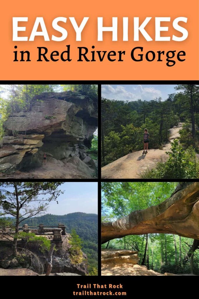 There are so many amazing easy trails in the Red River Gorge that are perfect for hiking novices or families with young children.