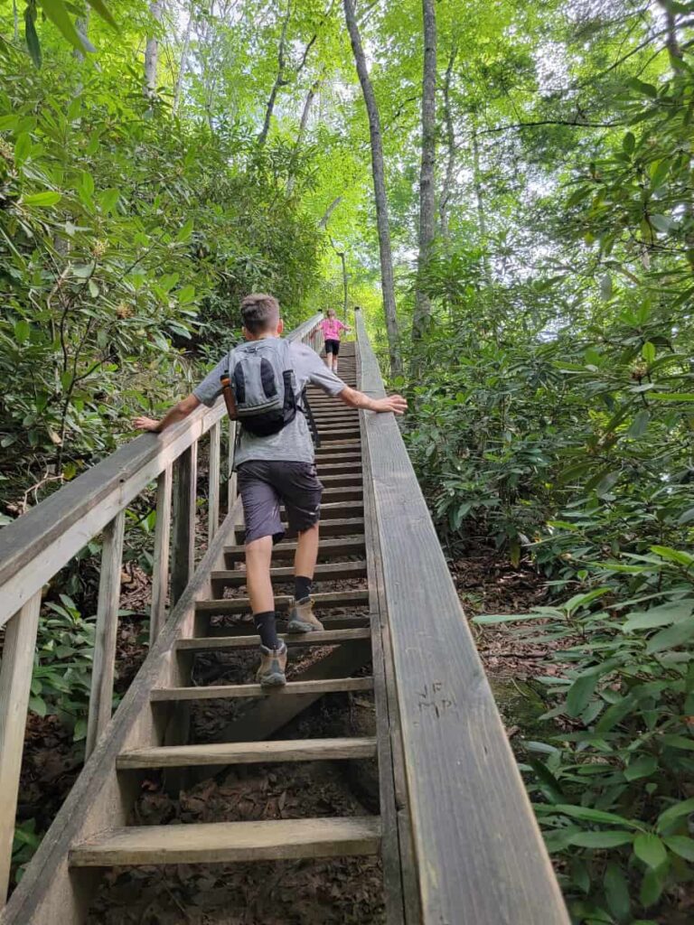 A boy and a girl walk up wooden steps at Grays Arch in Red River Gorge