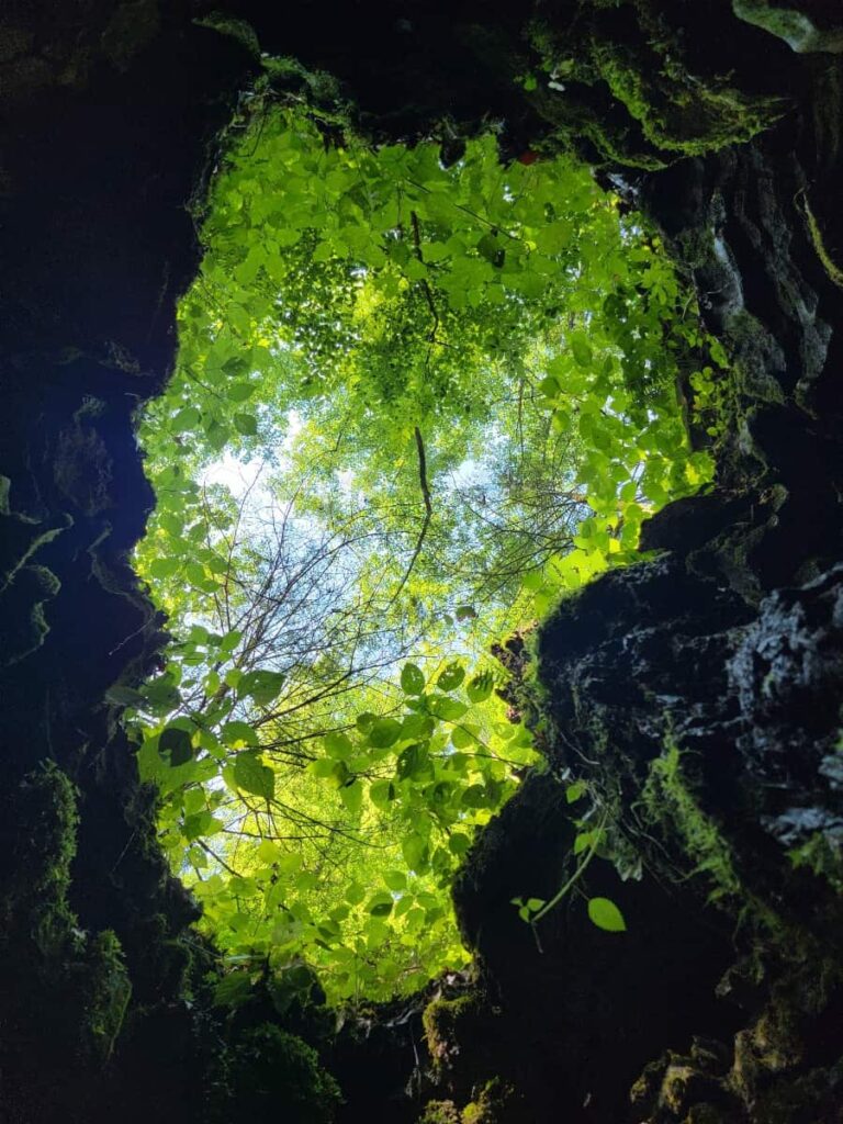 looking up through a hole in the rocks at trees