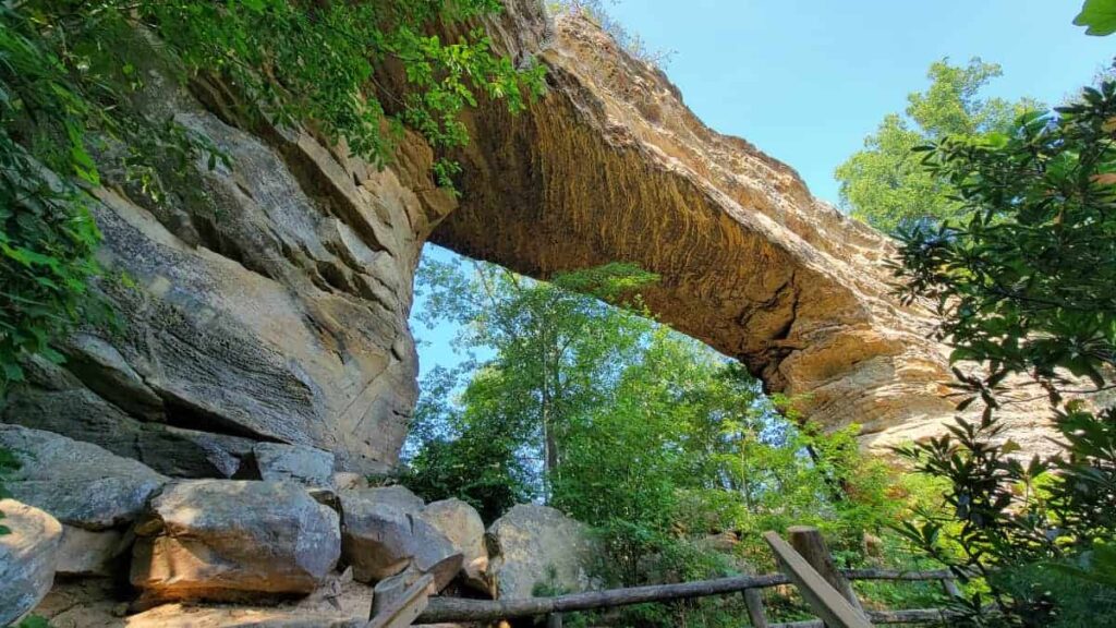 Looking up at the large stone arch called Natural Bridge in Red River Gorge