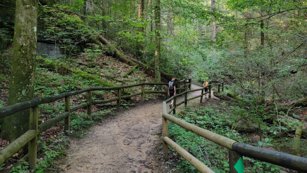 Two kids walk along a flat trail with wooden railings on either side of the trail.