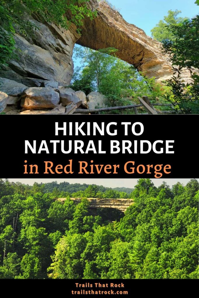 The hike to Natural Bridge in Red River Gorge in Kentucky is a fun, family-friendly hike that brings you to a huge stone arch and beautiful views of the surrounding area