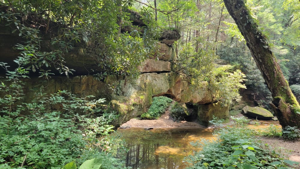 a natural stone arch crosses over a small creek