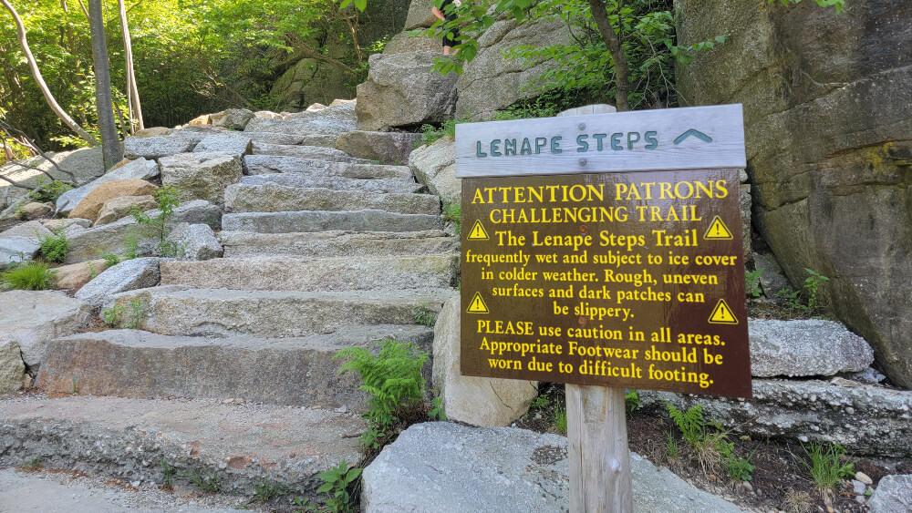 A set of stone steps with a caution sign in front.