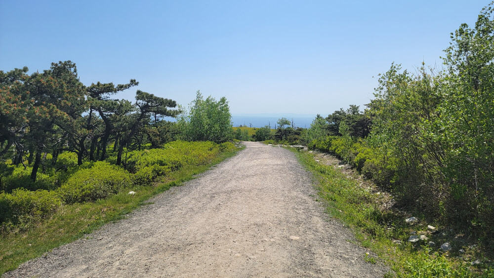 The trail leading to the Ice Caves is flat and unshaded.