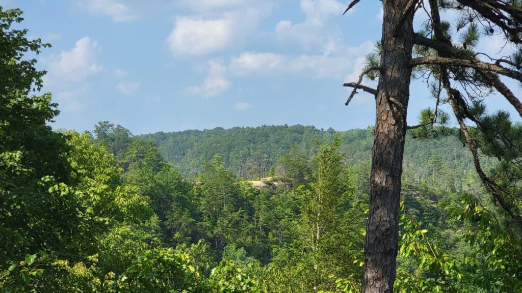 view of sky bridge arch in the distance from an overlook. View is blocked in part by trees and other greenery