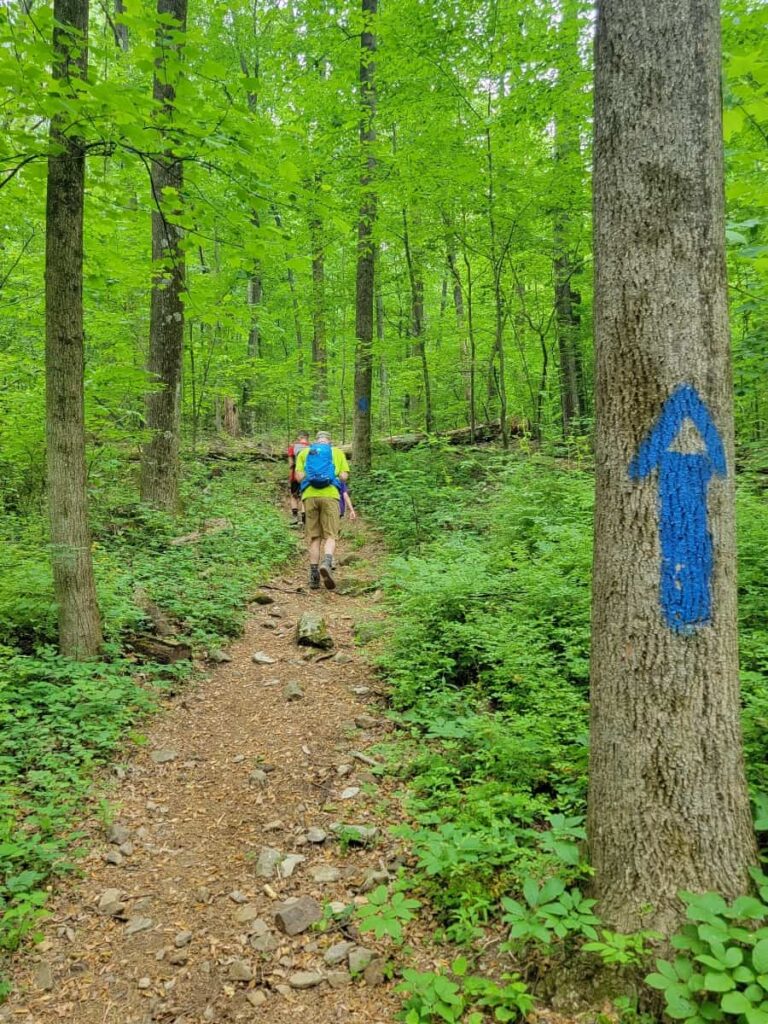 A man hikes on a dirt trail through the forest with a blue blaze on the tree