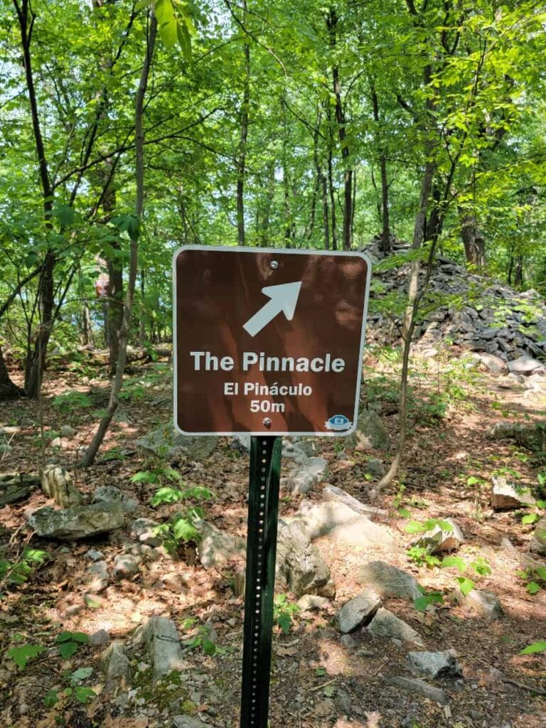 A brown sign points to the Pinnacle Overlook from theAppalachian Trail