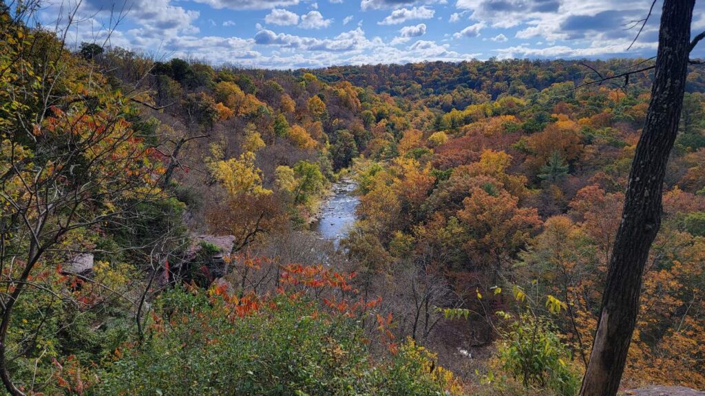 A view of Tohickon Creek from up above during fall 