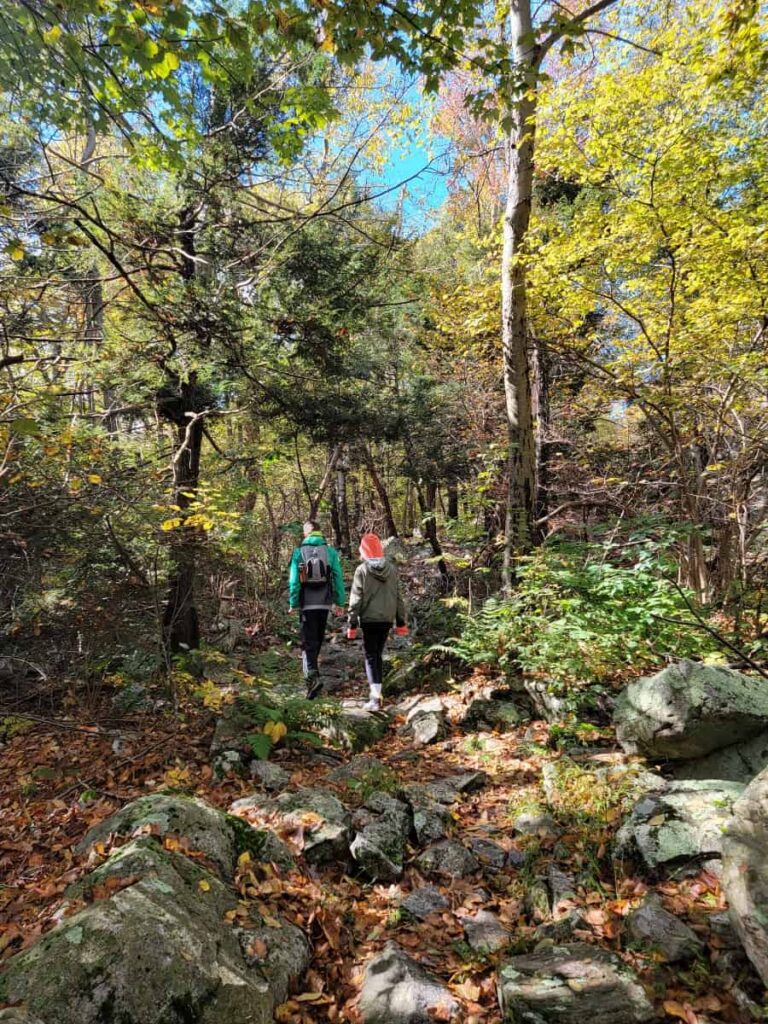 two kids hike up a rocky incline in the woods along the Appalachian Trail