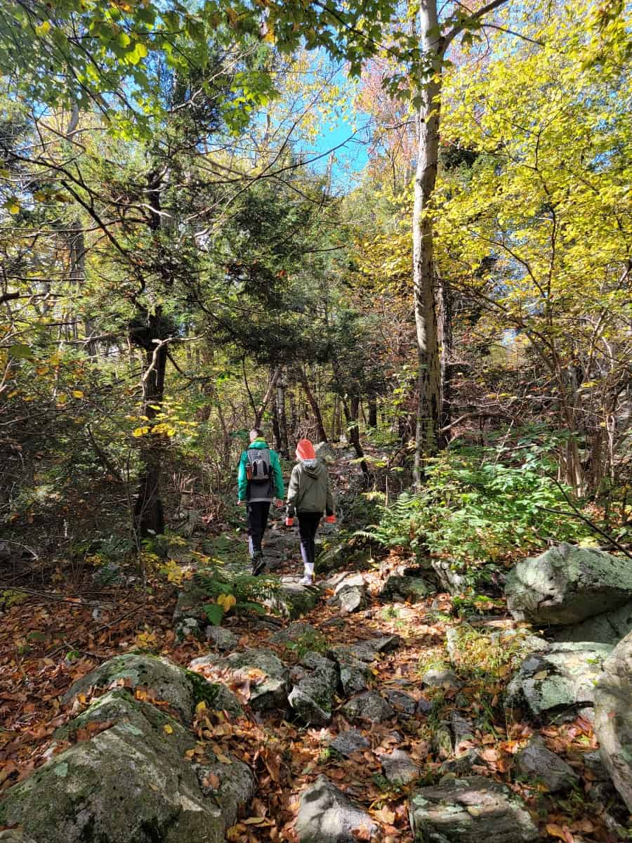 Hiking to Knife's Edge and Bear Rocks on the Appalachian Trail in ...