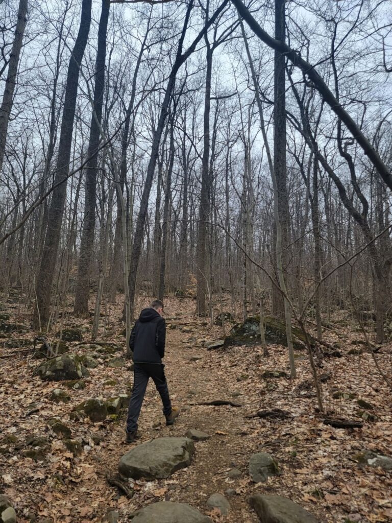 A boy hikes through a winter forest with some large rocks along the path