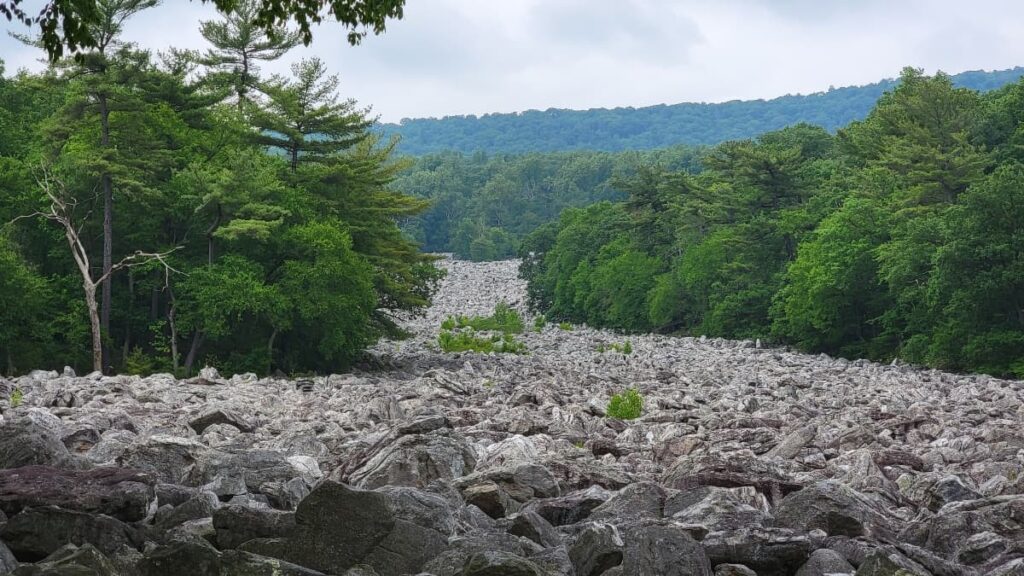a large field full of boulders is surrounded by trees at Blue Rocks campground