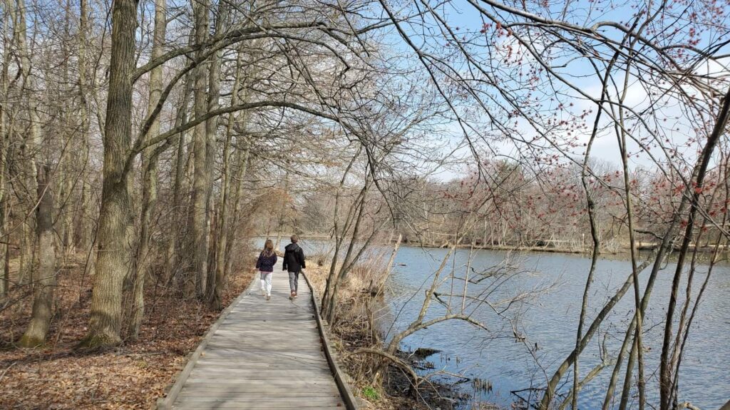 two kids walk along a boardwalk trail that follows along Silver Lake in Bristol