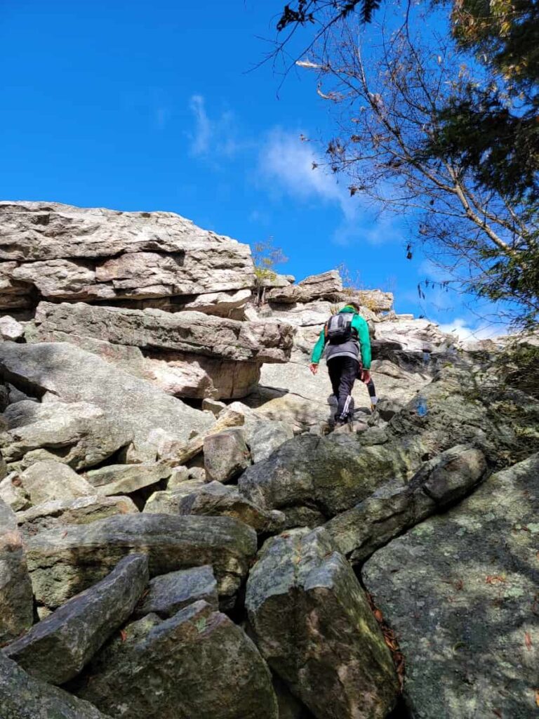 A young boy scrambles up large grey rocks towards an overlook at Bear Rocks