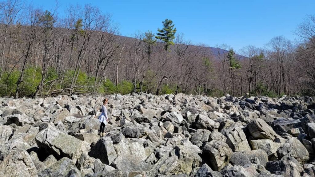a large boulder field is surrounded by trees and a mountain in the back
