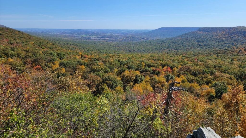View of trees changing color in the fall from the top of the North Lookout at Hawk Mountain
