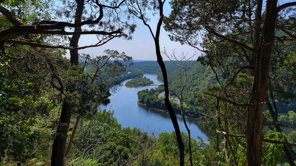 View of the Delaware River through the trees along the Mount Tammany Red Dot Trail in New Jersey