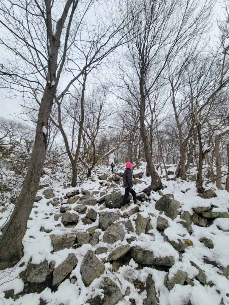 Two kids climb up a steep, rock covered trail to Bake Oven Knob