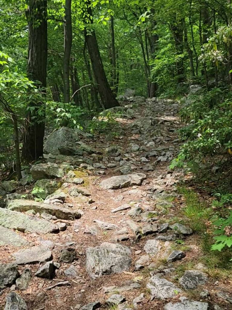 a hiking trail with many rocks on the path lead the way to the Pinnacle overlook in Pennsylvania