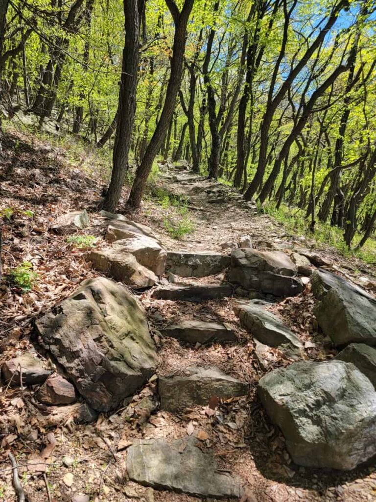 steps made from stone are found along a hiking trail in the woods
