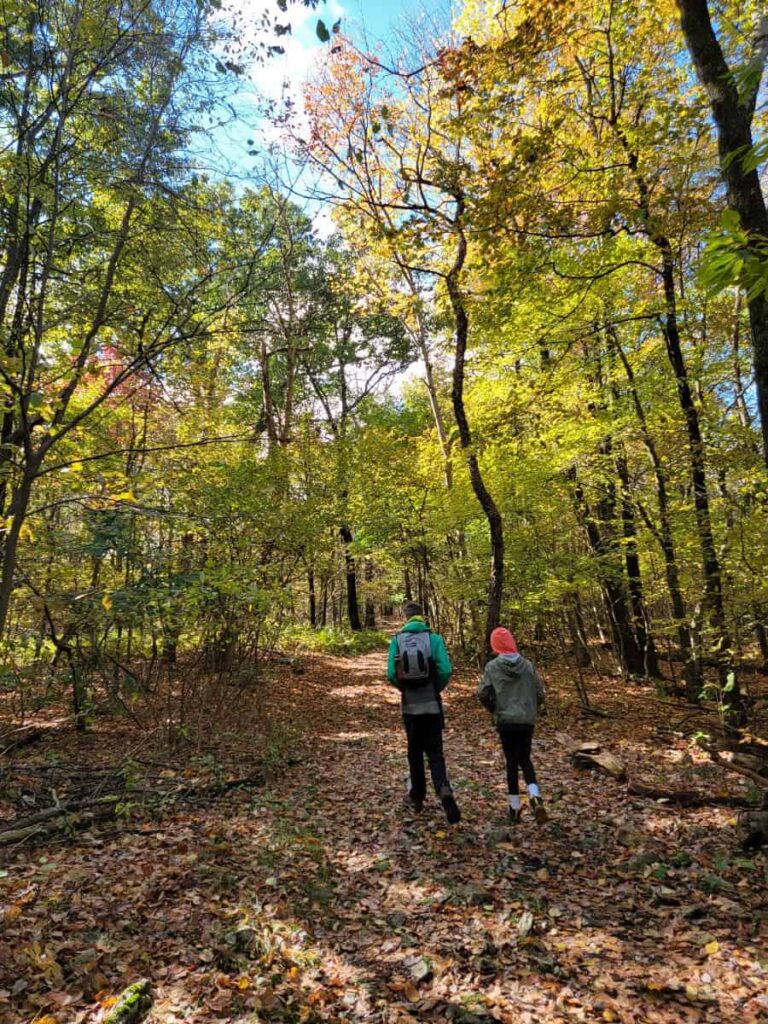 two kids walk along a flat dirt trail in the woods