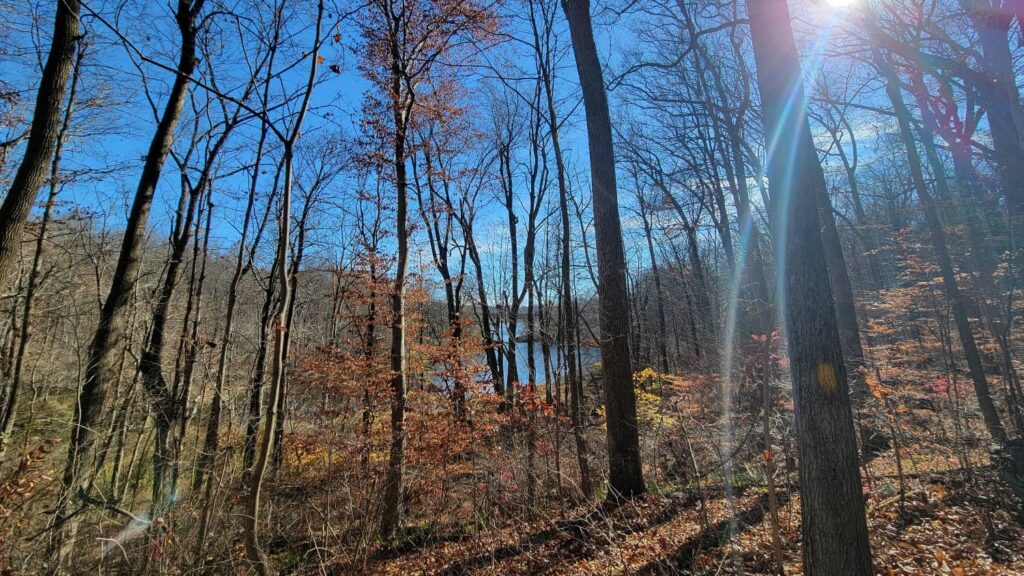 A view of Lake Nockamixon through the trees from the High Bridge hiking trail in Bucks County