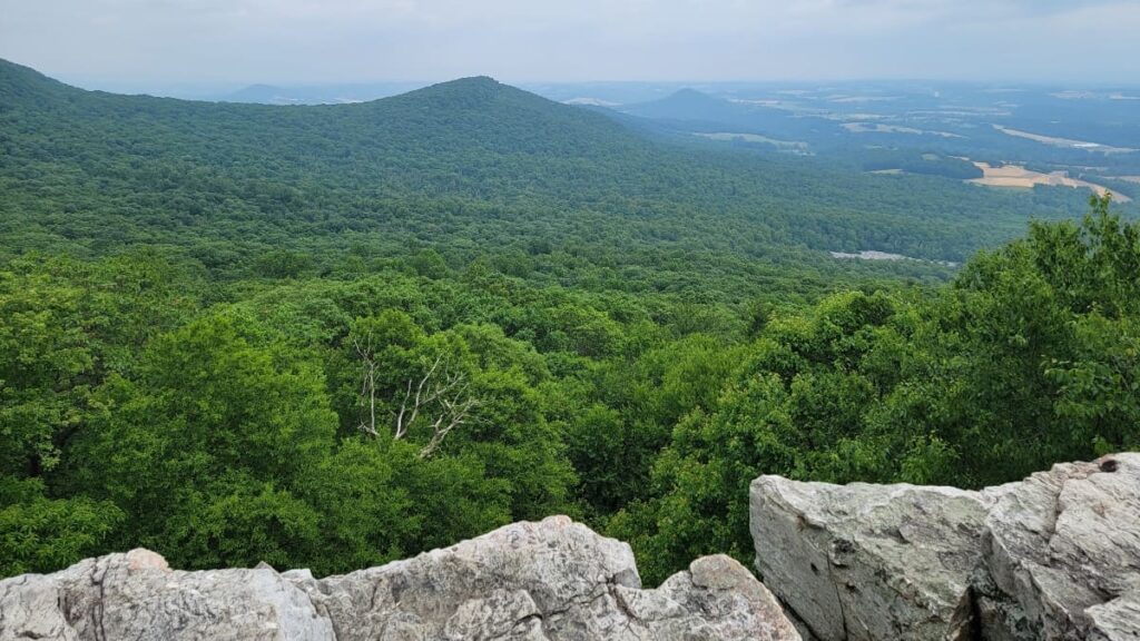 a rocky overlook looks out over green trees and a small mountain in the background at Pulpit Rock