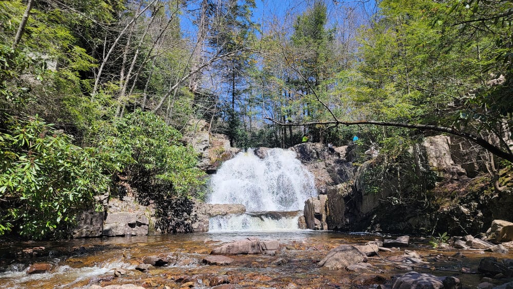 Hawk Falls in Hickory Run State Park flows with green trees on either side a small pool at its base