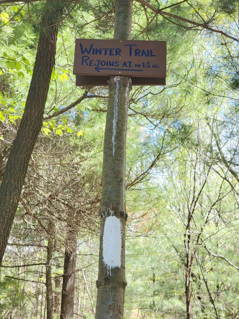 a sign in the woods says "winter trail" and points to the left