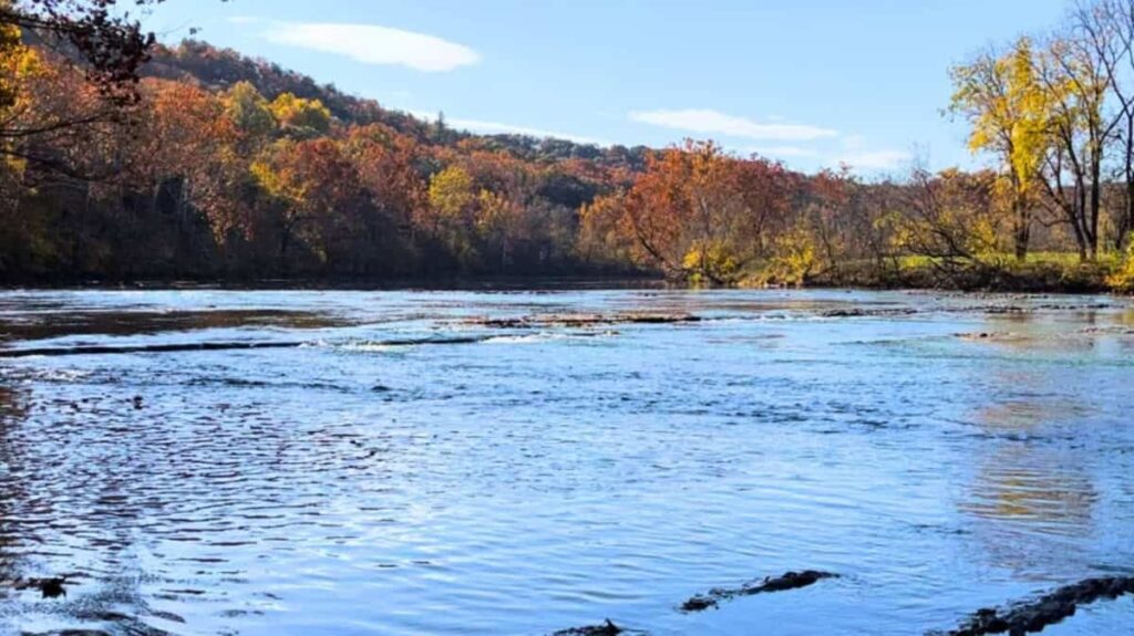A view of the Shenandoah River in the fall