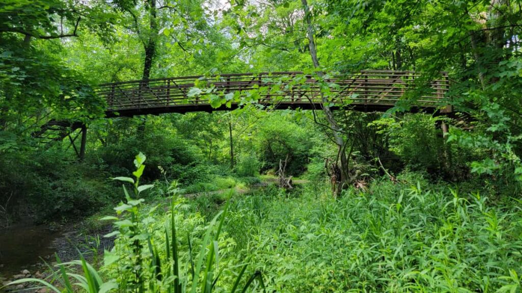 A pedestrian bridges arches across the Wissahickon Creek at the Four Mills Nature Preserve