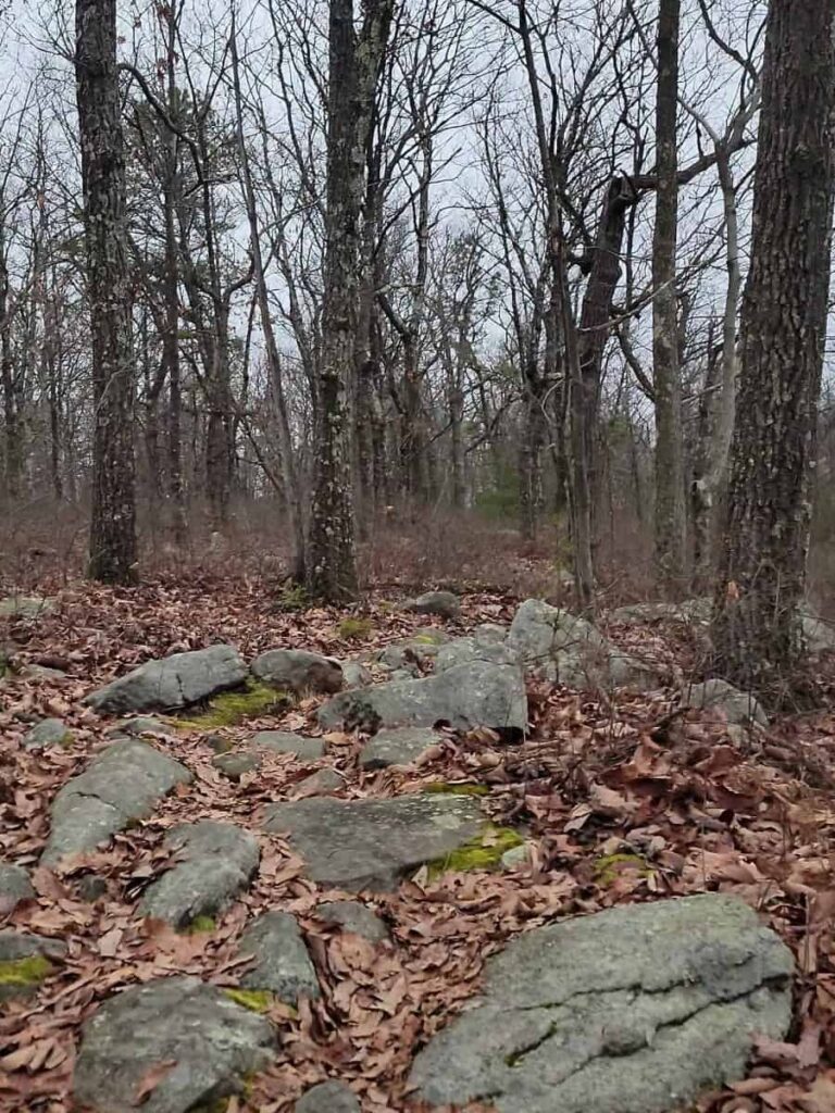 Large stones along the unmarked trail to the overlook at Lehigh gorge