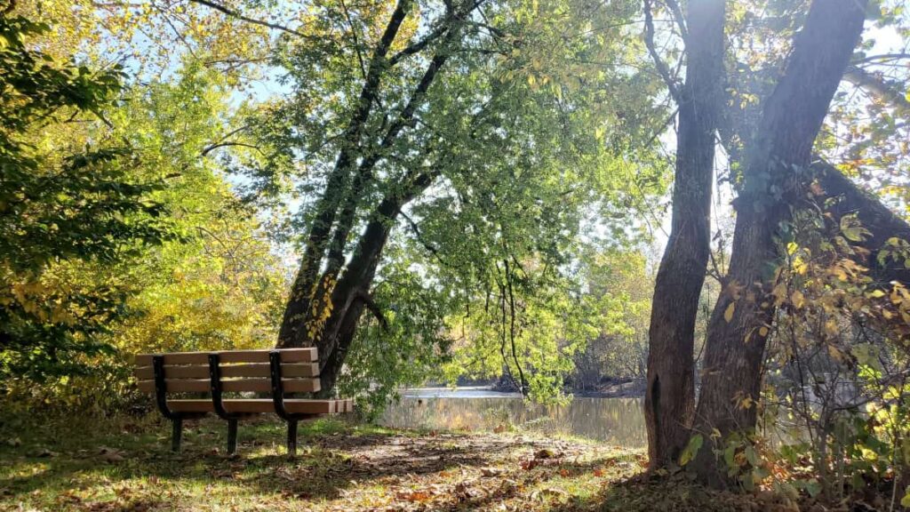An empty bench looks out at the Neshaminy Creek on a fall day in Tyler State Park