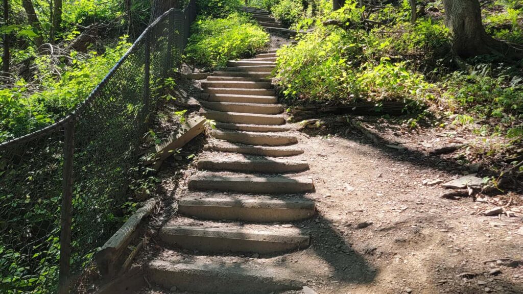 There are several stone steps along the buttermilk falls gorge trail in new york