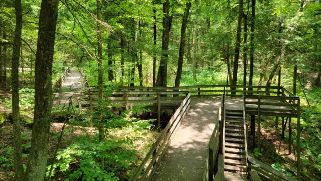 a large accessible platform sits in the woods at Beartown State Park