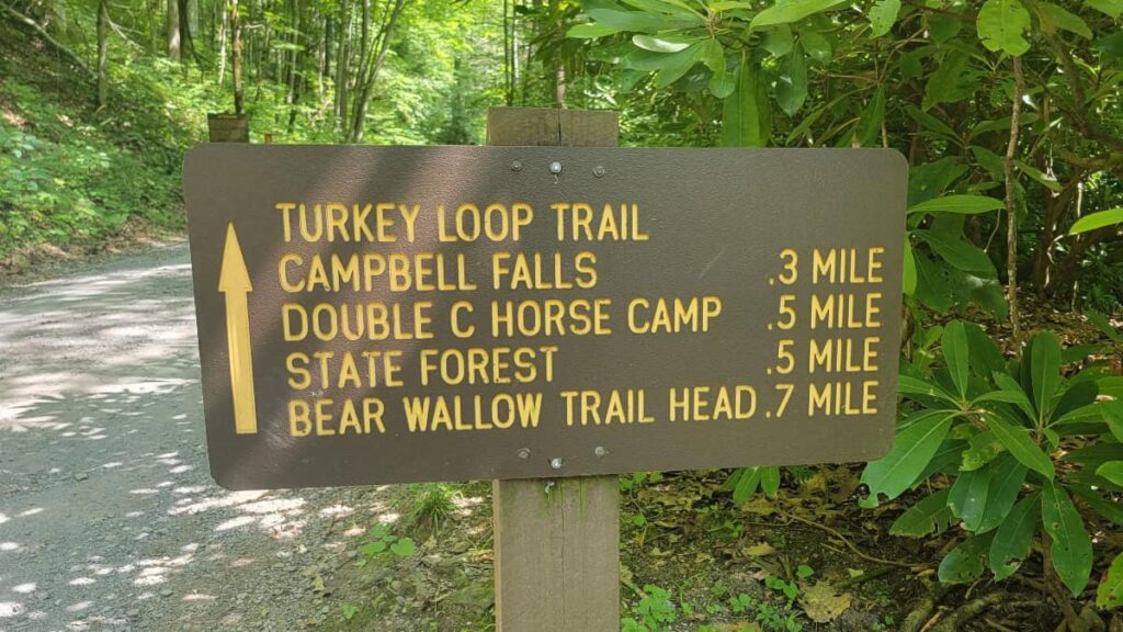 Trailhead sign reads "Turkey Loop Trail: Campbell Falls .3 miles"