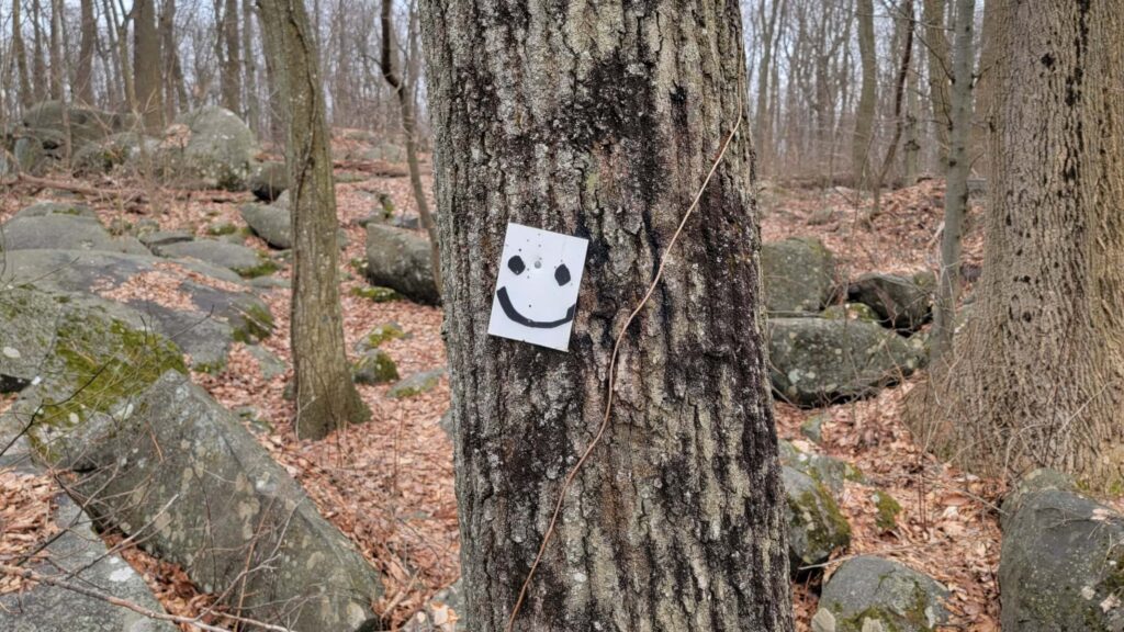 a white tree marker with a smiley face is attached to a tree