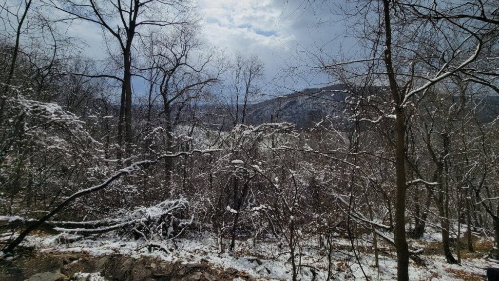 Looking through the trees during the wintertime lets you see a glimpse of the Potomac River from the trail