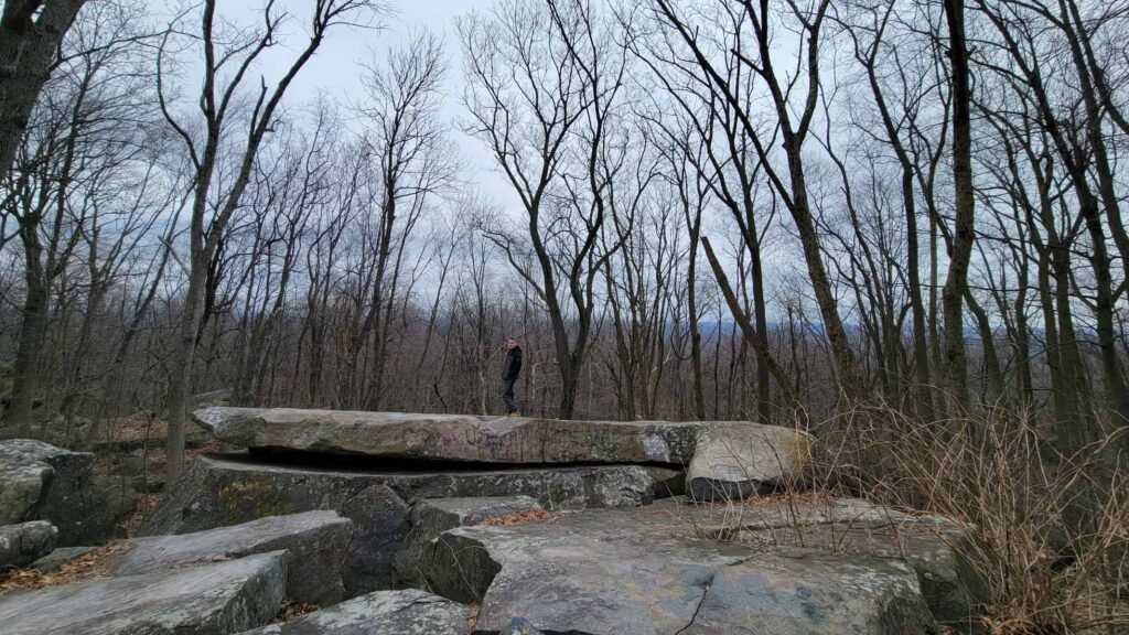 a boy walks along a flat large boulder in the middle of the forest