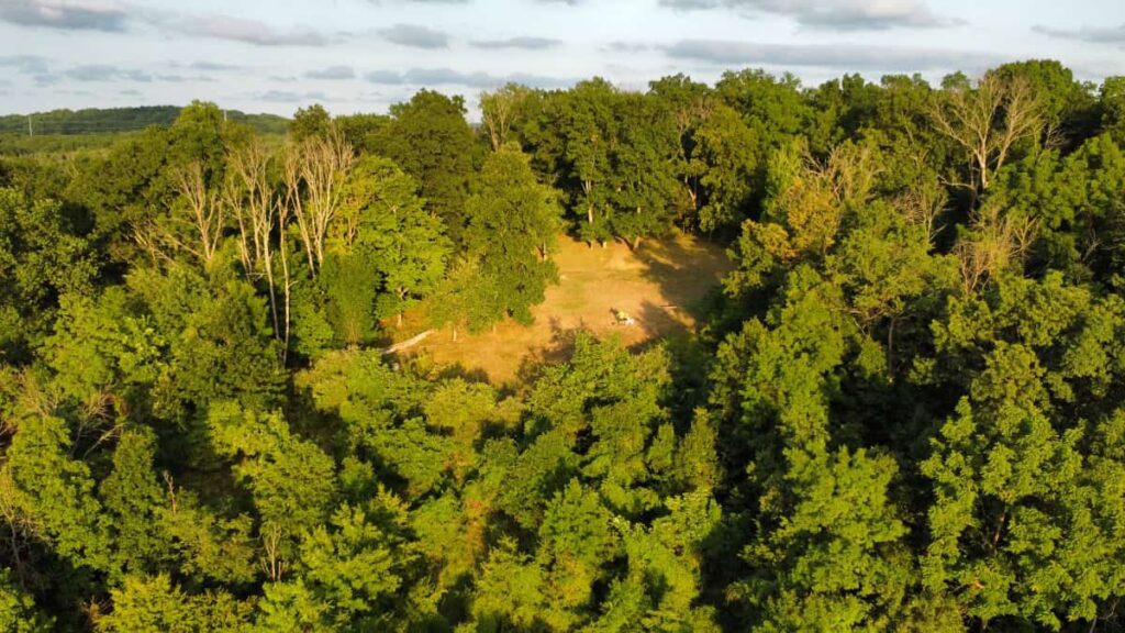 drone view of large clearing with trees encircling