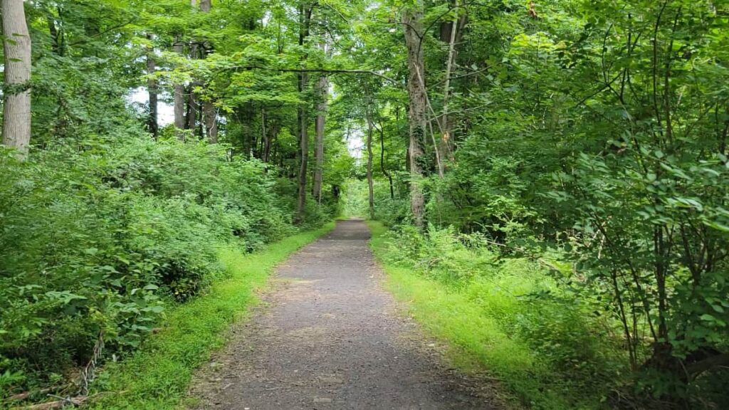 view if a flat gravel path about 4 feet wide through the woods