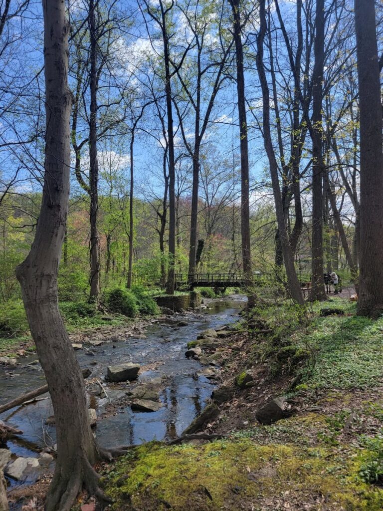 View of Harper's Run in Lorimer Park during early spring