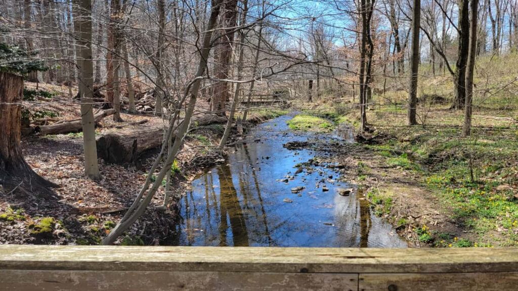 a view of a small creek in the early spring from a wooden bridge