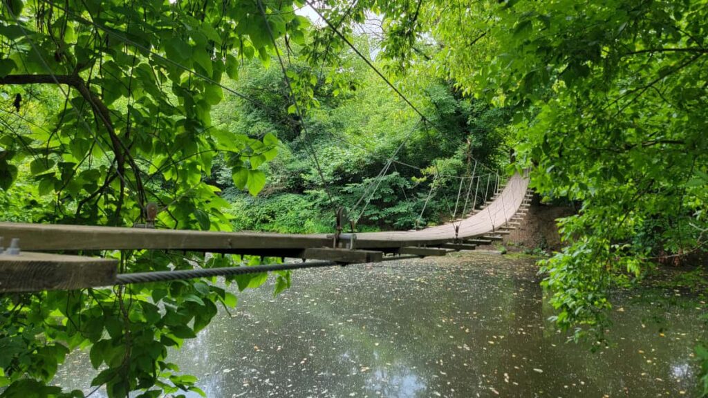 A wooden swinging bridge crosses a small creek in the woods