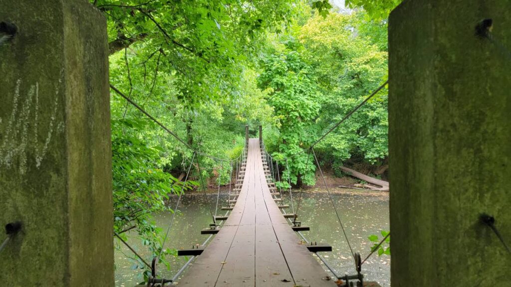 looking across a  wooden swinging bridge crossing a small creek 