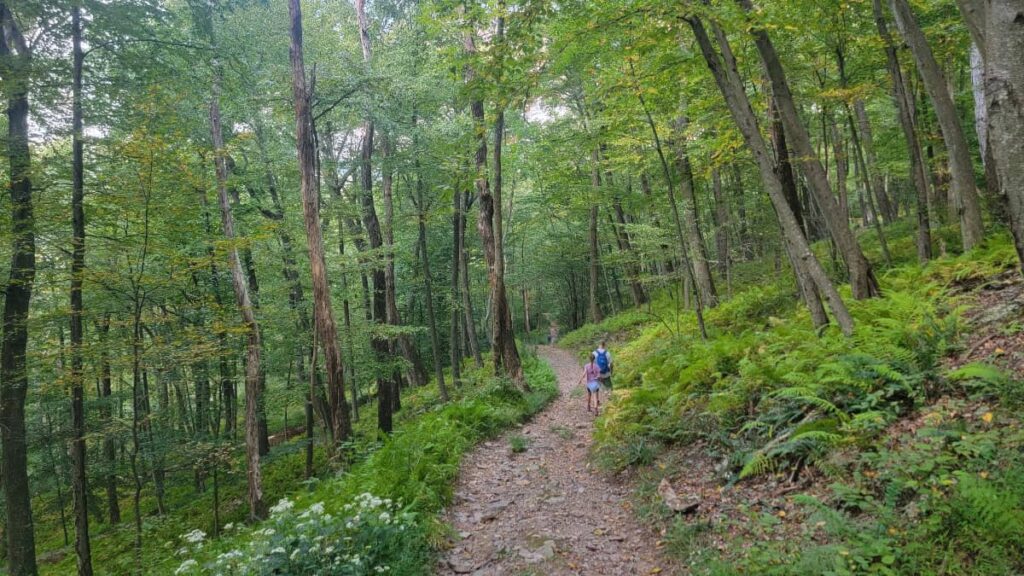 A girl and man hike along a steep trail